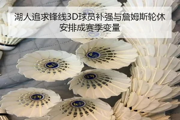 湖人追求锋线3D球员补强与詹姆斯轮休安排成赛季变量